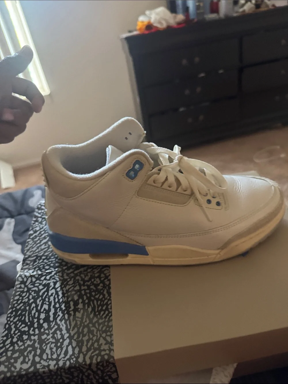 Jordan Men's Shoebox with Blue Jumpman and Elephant Print